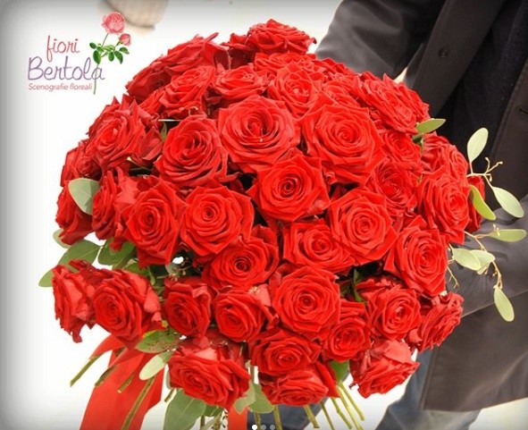 valentine's day with porta nova red naomi roses five