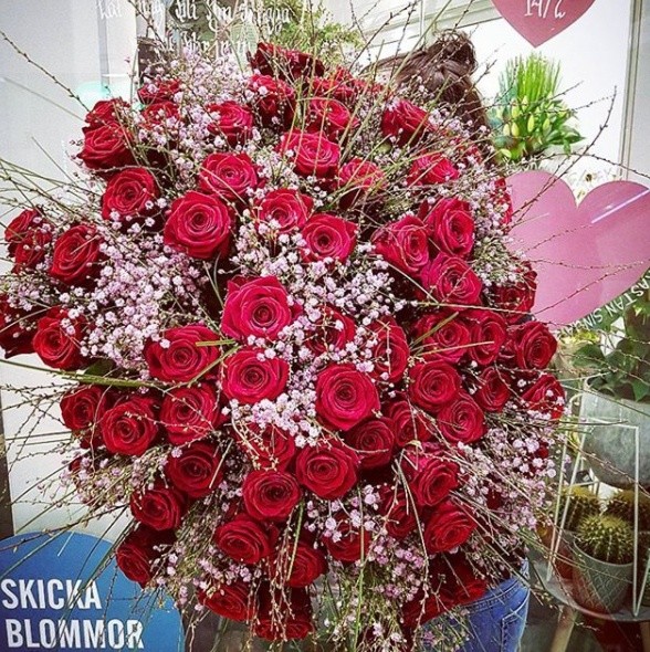 valentine's day with porta nova red naomi roses ten