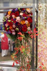 FLORAL FUNDAMENTALS’ EXHIBIT AT CHELSEA FLOWER SHOW WITH PORTA NOVA ROSES sdf