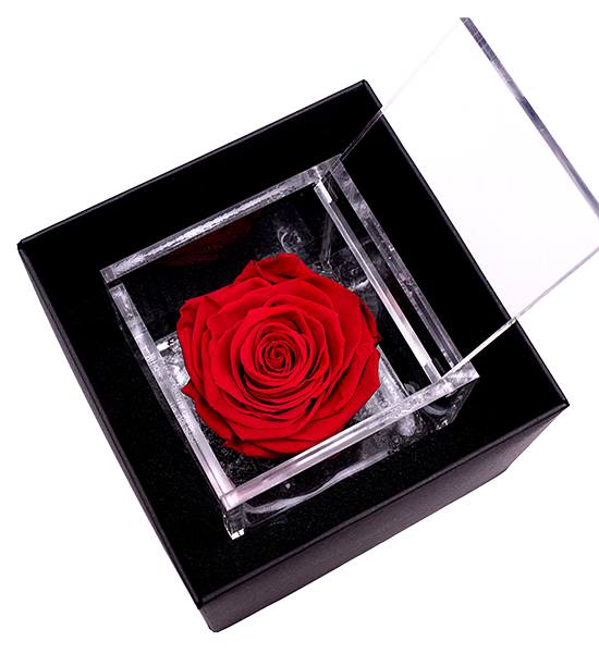 MICHELE MARRA S FLORAL ART PORTA NOVA FLOWERBOX