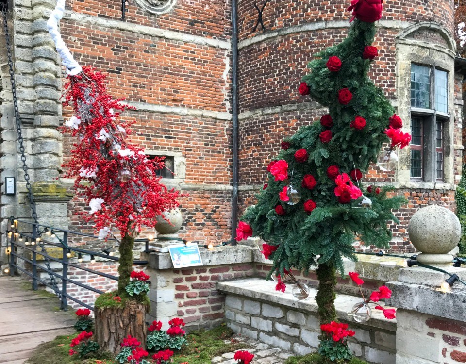 christmas festive trees at winter moments porta nova roses
