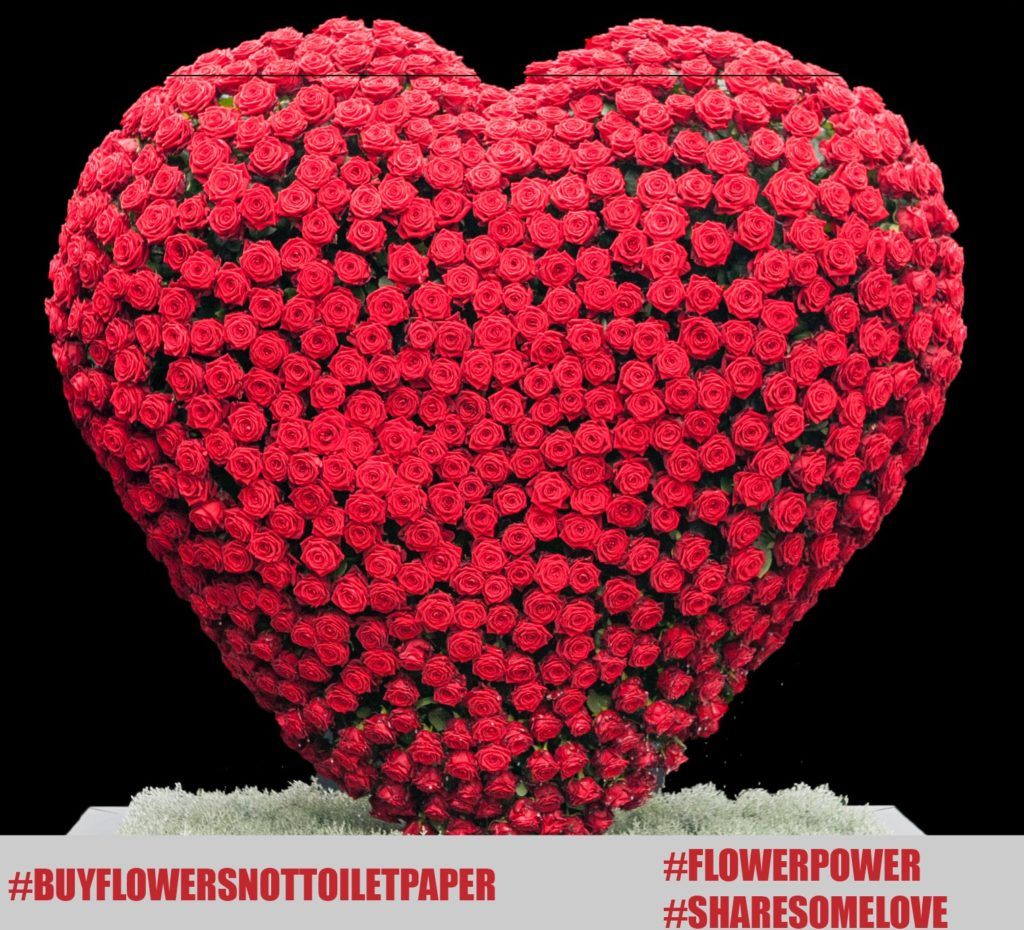 #buyflowersnottoiletpaper