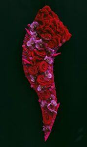 “To inspire and to motivate; Showing emotions using Floral Art" Lily's designs with Porta Nova roses
