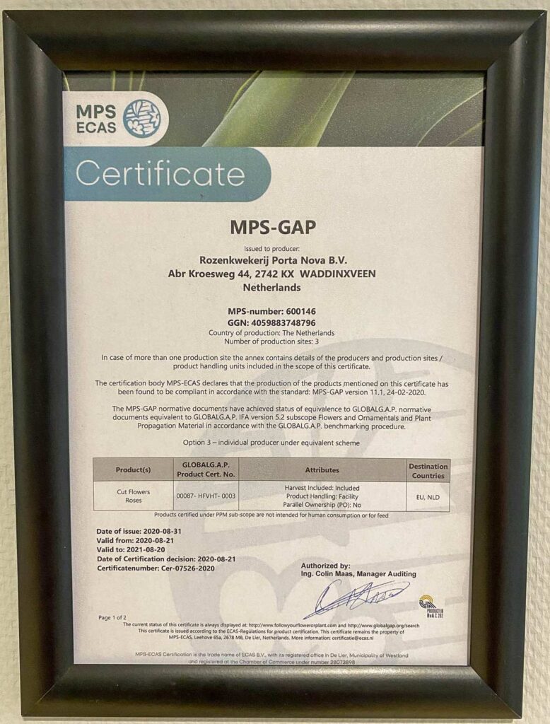 Porta Nova MPS-GAP certificate