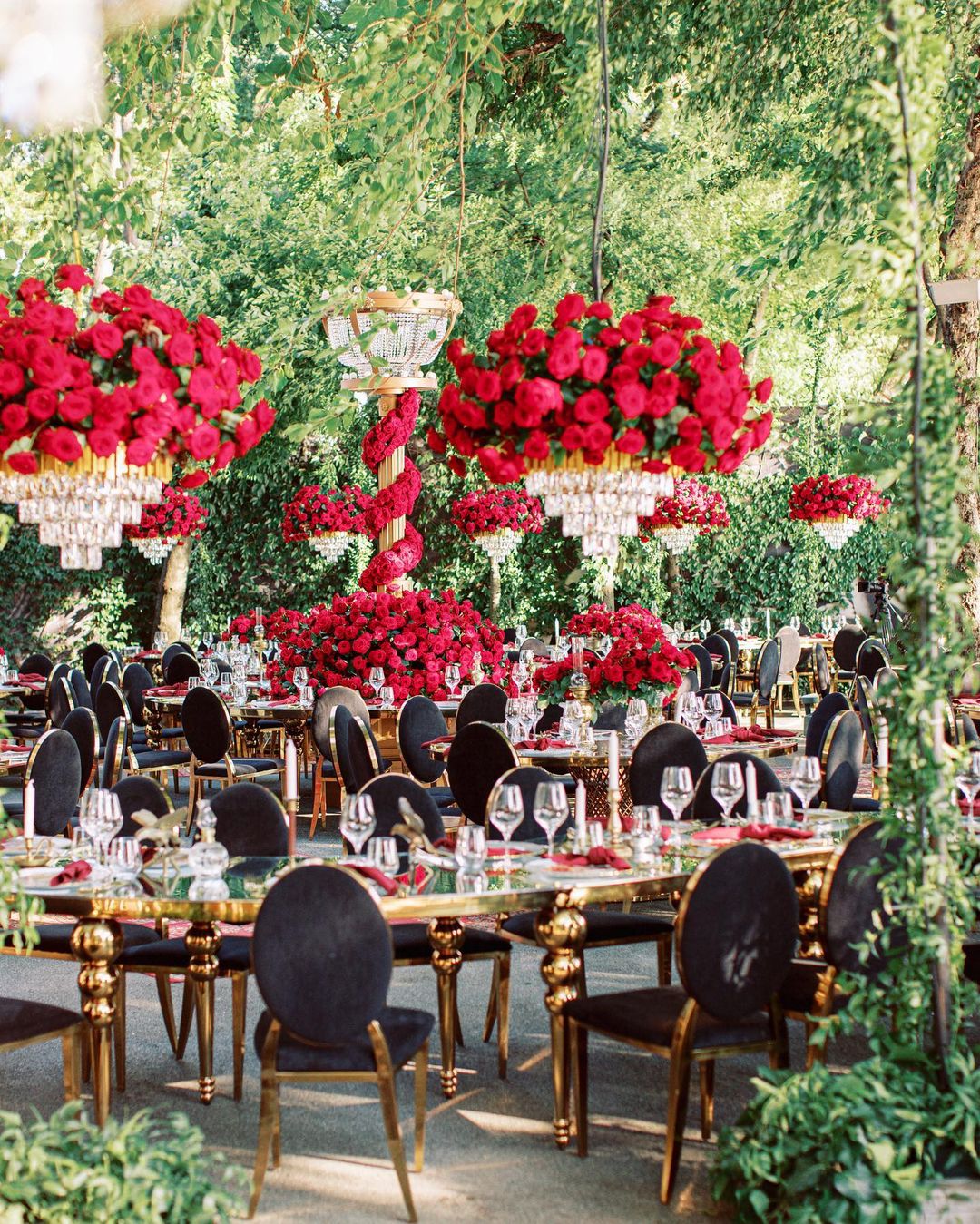 Gypsy Party Time with Porta Nova Red Naomi by Nicu Bocancea