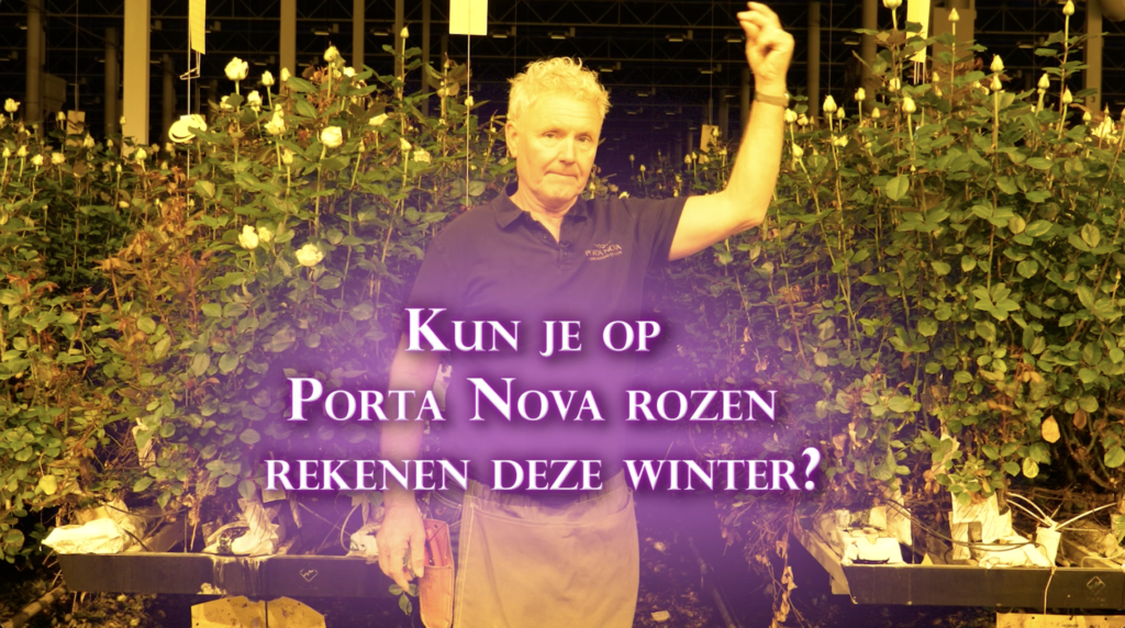 Zekerheid bij porta nova