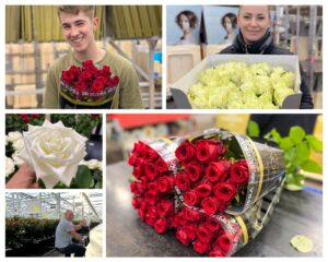 Porta Nova Red Naomi White Naomi