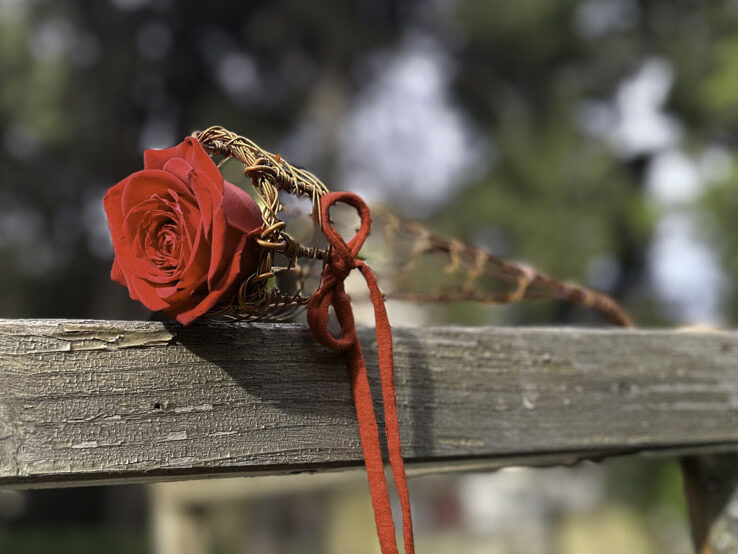 Red Naomi porta nova garden roses