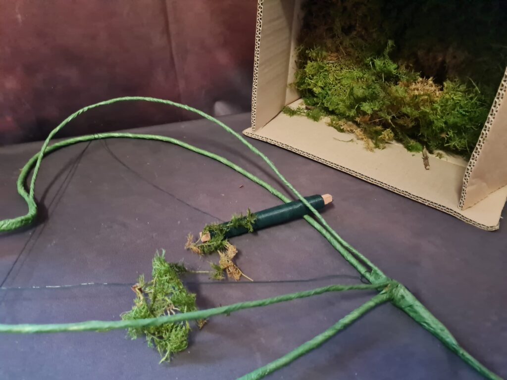 Red Naomi Futura roses